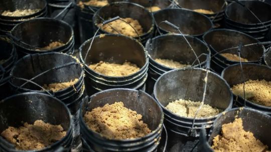 Mil detenidos y 56 kilos de fentanilo decomisados en la frontera con EU en últimos 26 días