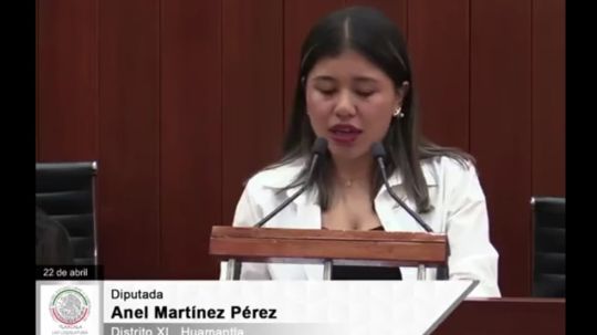 C0rte de cabeza a funcionarios omisos e indolentes en incendio de Atltzayanca, demanda diputada 