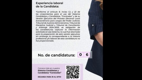 Preocupantes vacíos en inexperiencia en los currículos de aspirantes a impartir justicia