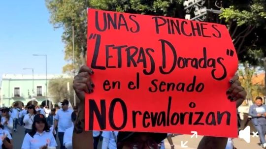 ¡Letras doradas no pagan las cuentas! Docentes exigen valorar su trabajo