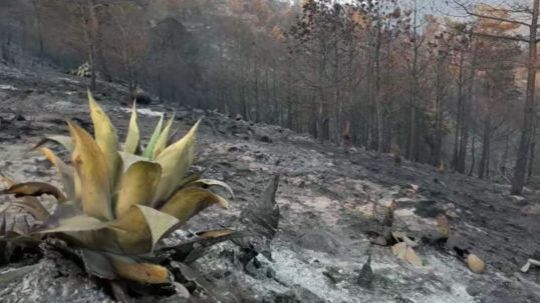 En Atltzayanca ya no esperan del gobierno, se capacitan para atender incendios