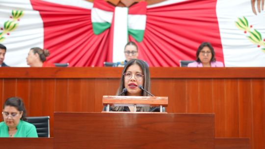 Impulsa Anel Martínez regulación contra la contaminación acústica
