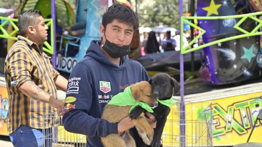 Clínica biofílica de Huamantla ha rescatado a 106 perritos y gatitos