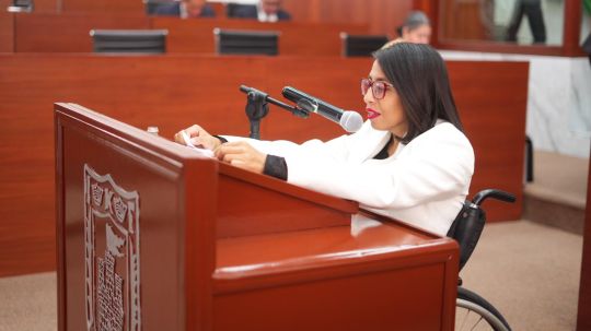 Propone Gabriela Hernández Islas cuotas obligatorias para personas con discapacidad