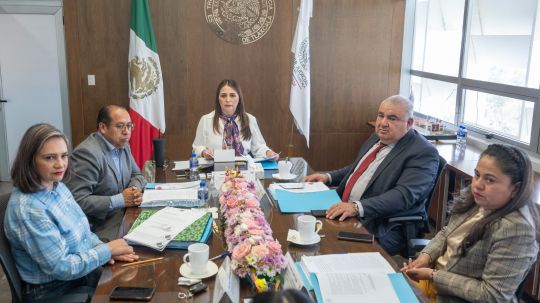 Aprueba Consejo de la Judicatura Lineamientos para aplicación de pruebas de alcoholimetría
