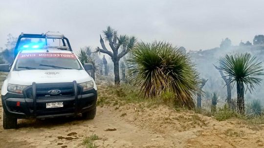 Protección civil de Huamantla supervisa quema controlada de palmas en la ranchería de Torres