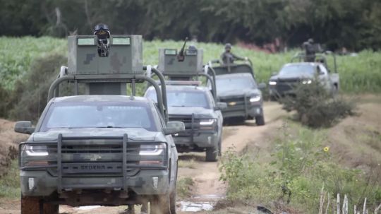 Declaraciones de 35 miembros del Cártel de Sinaloa, clave para mermar a La Chapiza y Los Mayos