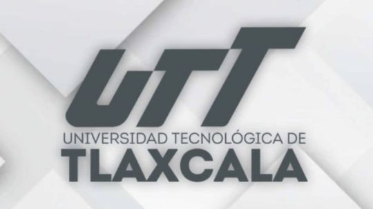 Trabajadores de la UTT denuncian promesas incumplidas tras afiliarse a Morena