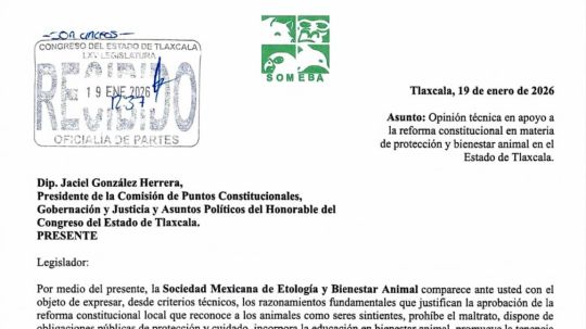 Congelada la reforma constitucional para reconocer a los animales como seres sintientes en Tlaxcala