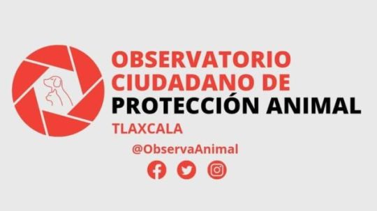 Tlaxcala se suma al primer encuentro nacional de organizaciones de protección animal de la CODAM