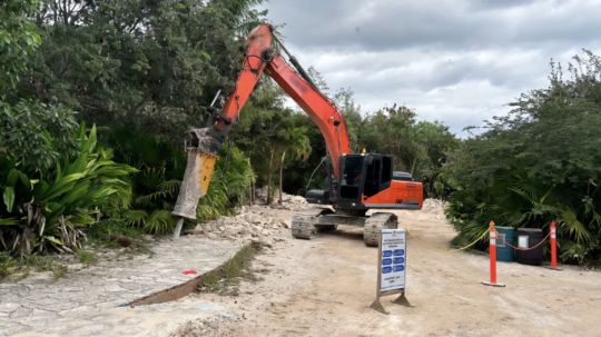 Profepa clausura proyecto Perfect Day Mahahual de Royal Caribbean por tala ilegal