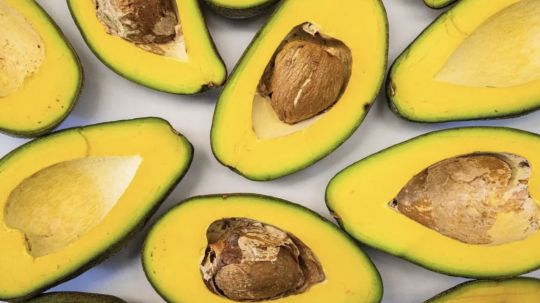 Más de 127 mil toneladas de aguacate mexicano vuelven a hacer Touchdown en Super Bowl 2026