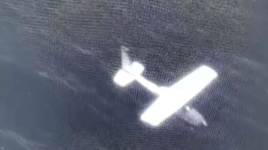 Interceptan aeronave con 534 paquetes de cocaína en costas de Oaxaca