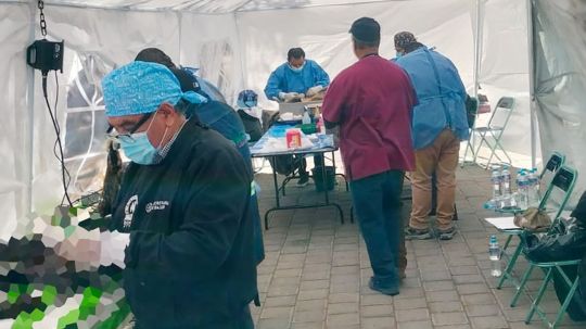 Continúan jornadas de esterilización de perros y gatos en San Pablo del Monte