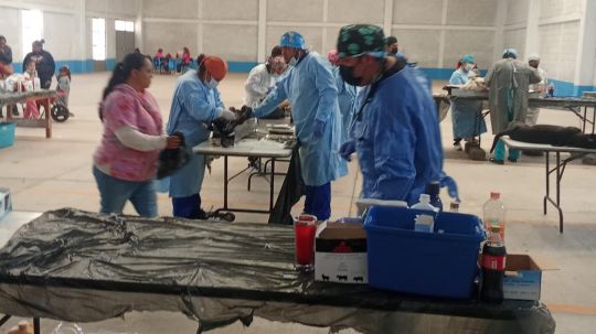 Realizan 119 esterilizaciones en la comunidad de Xicoténcatl