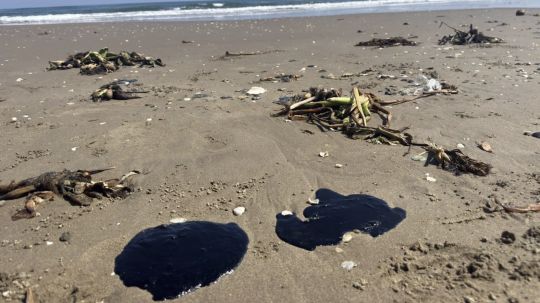 Derrame de hidrocarburo en Veracruz proviene de barco de una petrolera privada en Tabasco, informa Nahle