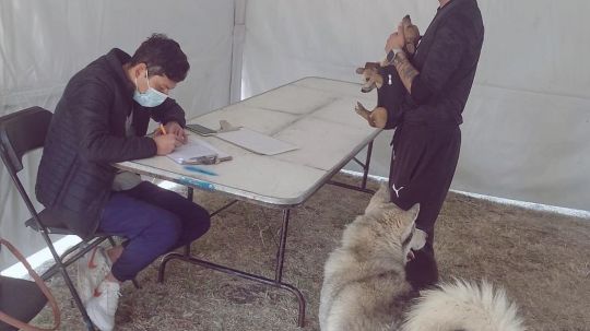 Coordinación de bienestar animal brinda más de 4 mil servicios veterinarios