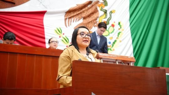 Busca Laura Yamili Flores regular la gestación subrogada para evitar explotación reproductiva
