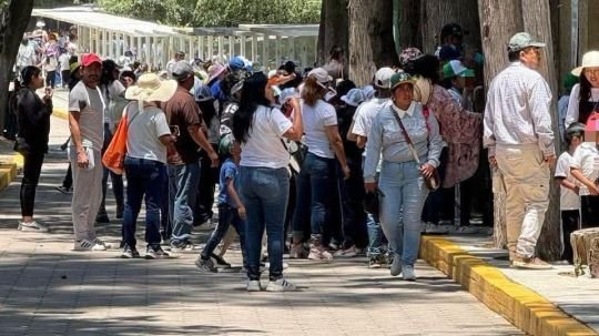 Zoológico del Altiplano amplía horario en vacaciones; Abre todos los días para recibir a familias y visitantes