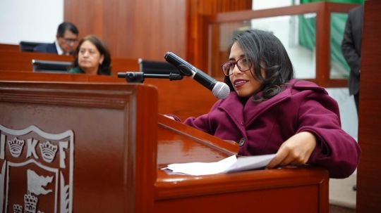 Presenta Gabriela Hernández exhorto para ampliar espacios de estacionamiento para personas con discapacidad y movilidad