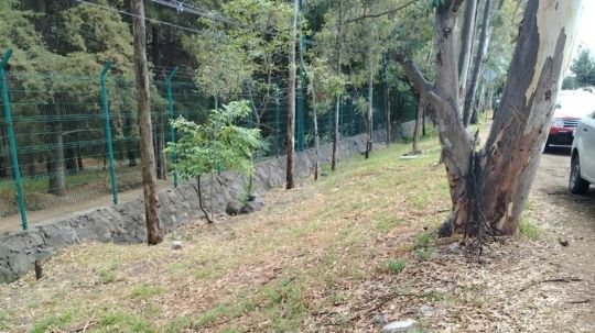 Con más territorio y menos escritorio gobierno de Alfonso Sánchez refuerza acciones de bienestar en favor de las familia