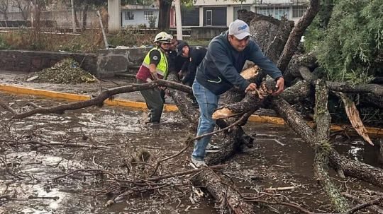 Brigadas de más territorio y menos escritorio responden ante nueva precipitación pluvial