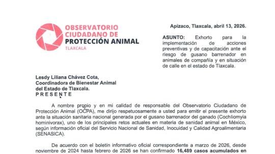 Exhortan a autoridades de Tlaxcala a prepararse ante riesgo de gusano barrenador en animales de compañía