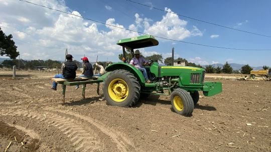 Fomtlax impulsa negocios de 362 familias con más de 9.5 mdp en créditos