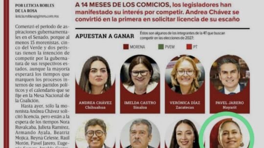 Exhiben a Ana Lilia como chapulina, por usar senado como trampolín para ambición personal de 2027