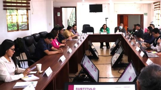 Participa Smdif de Tlaxcala en reunión de seguimiento a compromisos de la consulta infantil y juvenil