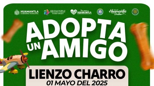 Huamantla promueve la adopción responsable con jornada adopta un amigo