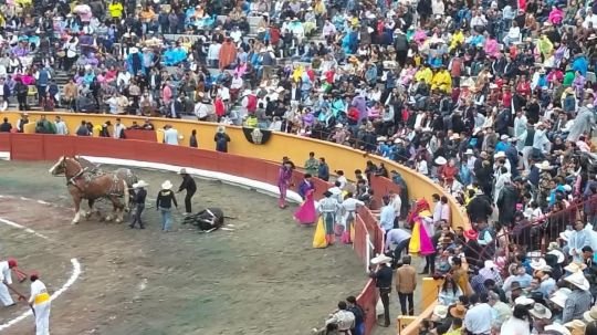 Rechifla al presidente municipal de Apizaco en plena corrida de toros evidencia hartazgo ciudadano por inseguridad