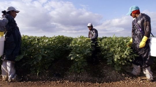 Migrantes mexicanos en EU constituyen la octava economía mundial