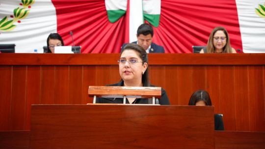 Propone Soraya Bocardo reconocer a los animales como seres sintientes en el Código Civil de Tlaxcala