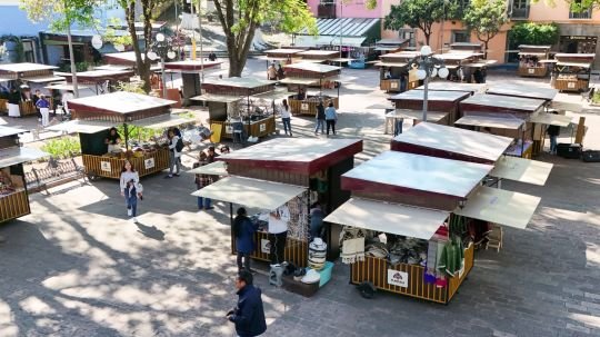 La vuelta de los artesanos a la plaza Xicohténcatl es un logro de todos y su permanencia está garantizada: Alfonso