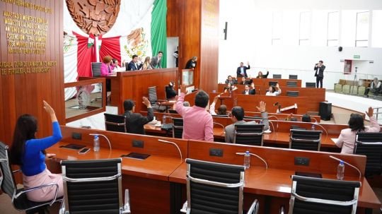 LXV Legislatura emite exhorto a ayuntamientos para crear Centros de Atención Canina y Felina