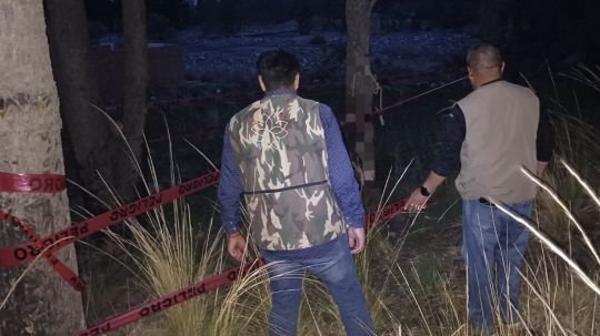 Atiende Propaet presunto maltrato animal difundido en redes sociales