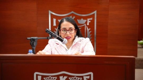 Propone Gabriela Hernández reforma en materia de salud mental materna