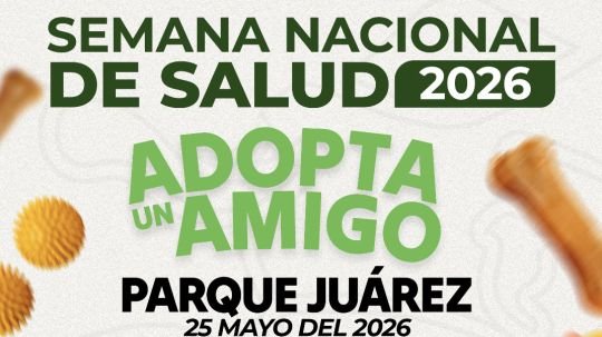 Adopta un amigo: invitan a jornada de adopción de perritos y gatitos en Huamantla