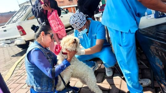 Gobierno de Alfonso Sánchez García fortalece el bienestar animal con jornada de atención a mascotas en La Loma