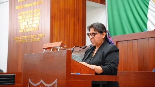 Impulsa Engracia Morales Iniciativa para impedir candidaturas de deudores alimentarios y agresores