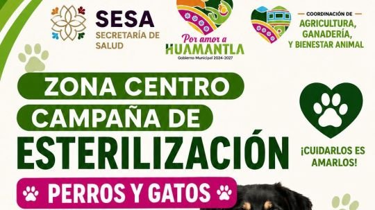 Gobierno de Huamantla invita a la Campaña de Esterilización para perros y gatos y promueve la tenencia responsable