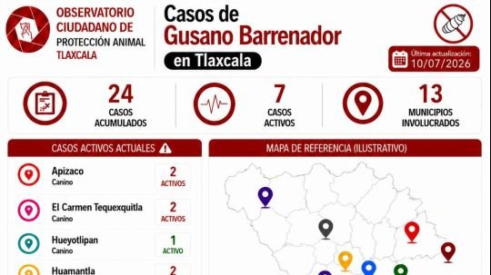 Actualizan panorama del Gusano Barrenador del Ganado en Tlaxcala; suman 24 casos acumulados