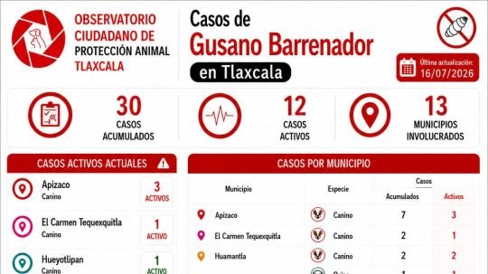 Julio ya es el mes con más nuevos casos de Gusano Barrenador registrados en Tlaxcala