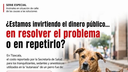 OCPA presenta análisis sobre el costo reportado para la eutanasia de perros y plantea el debate sobre la prevención