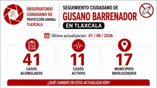Julio concentró más de la mitad de los casos acumulados de gusano barrenador en Tlaxcala