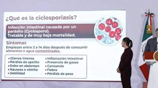 Origen del brote de diarrea explosiva en EU aún no se comprueba: Ssa