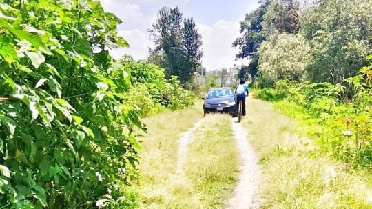 Acciones en territorio rescatan más vialidades para beneficio de peatones y automovilistas