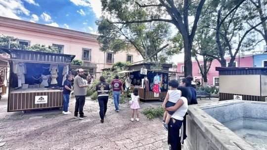 Gobierno municipal de Tlaxcala da respuesta inmediata ante caída de rama en el parque Xicohténcatl