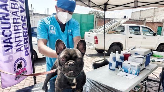 Ayuntamiento de Tlaxcala acercará servicios de salud animal a San Gabriel Cuauhtla y Tizatlán en septiembre